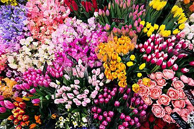 《绝地潜兵2》玩家跑到《三国杀》求助 希望诚信互刷